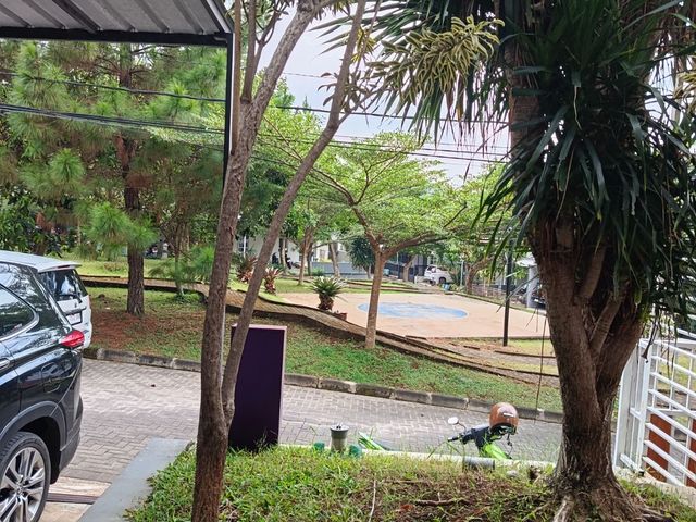 place photo 18