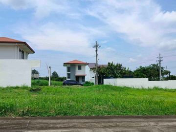 Vacant Lot for Sale in Avida Settings Alviera, Porac, Pampanga