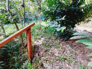 place photo 43