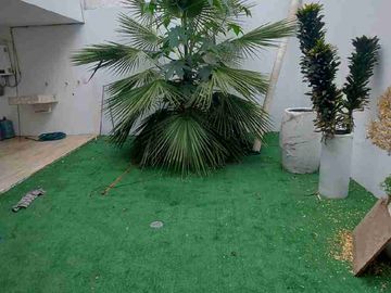 place photo 23