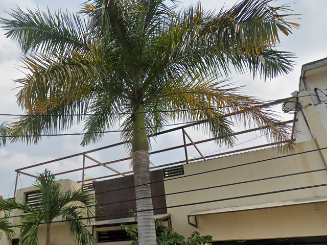 place photo 8