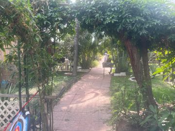place photo 31