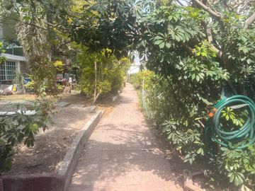 place photo 33