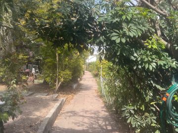 place photo 34