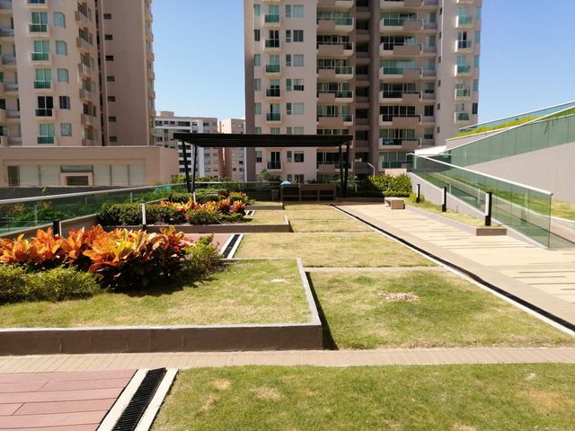 place photo 23