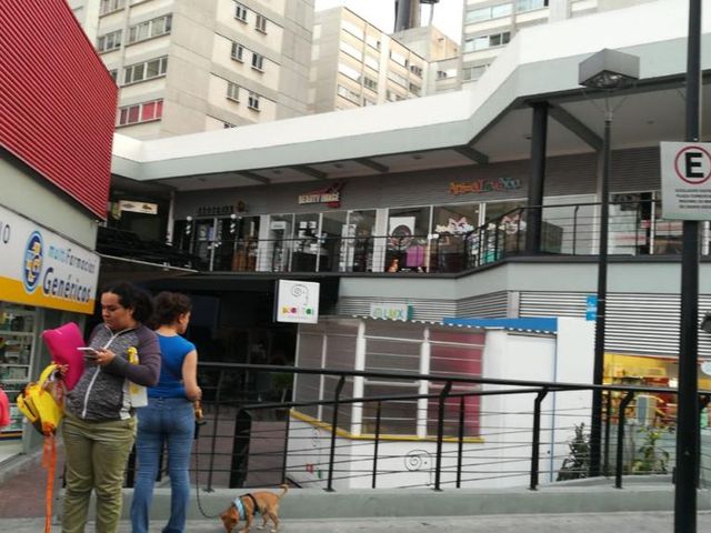place photo 23