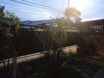 place photo 17