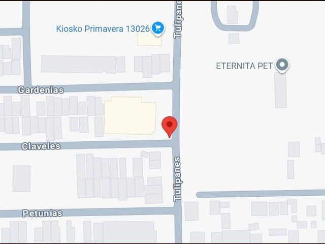 place photo 11