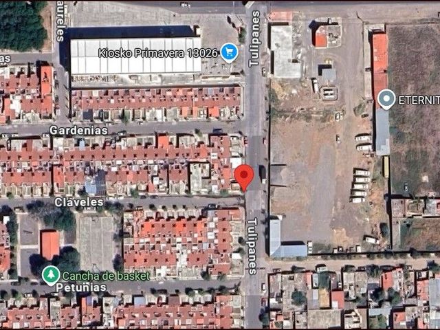 place photo 12