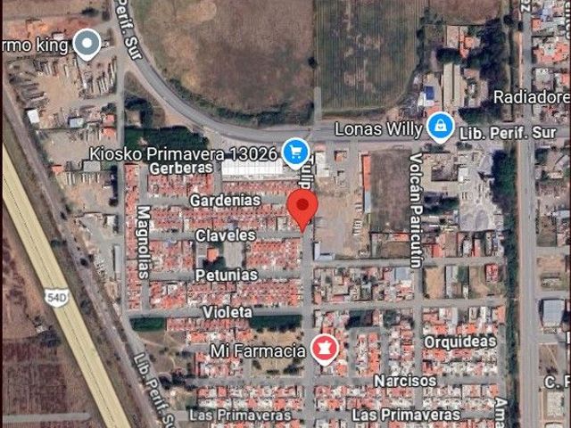 place photo 13