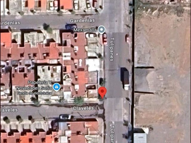 place photo 14