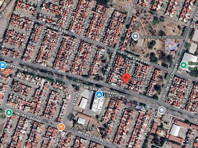 place photo 12
