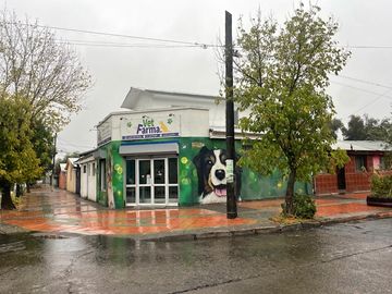 place photo 11