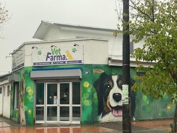 place photo 12