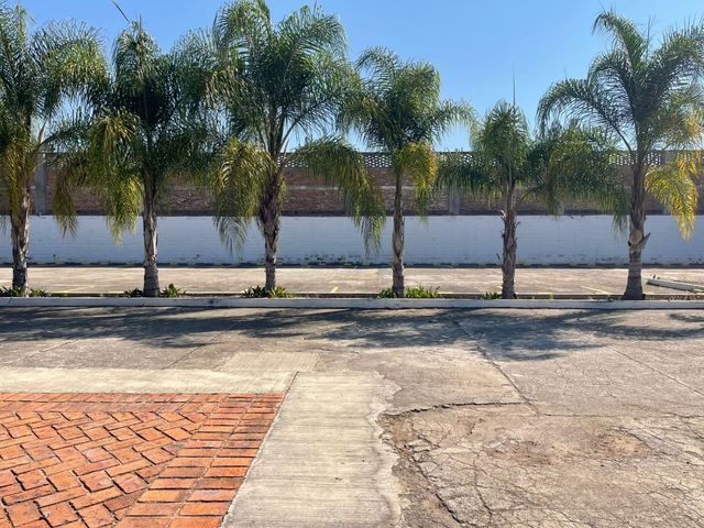 place photo 22