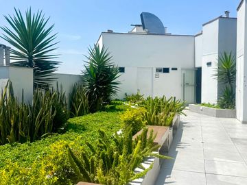 place photo 24
