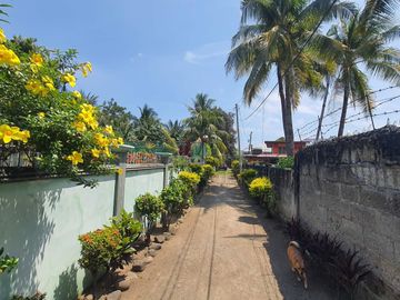 place photo 6