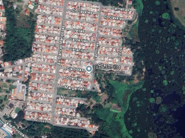 place photo 14