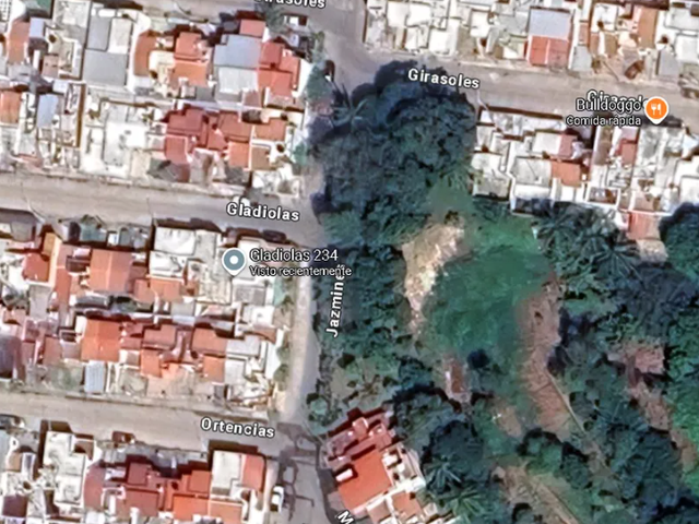 place photo 15