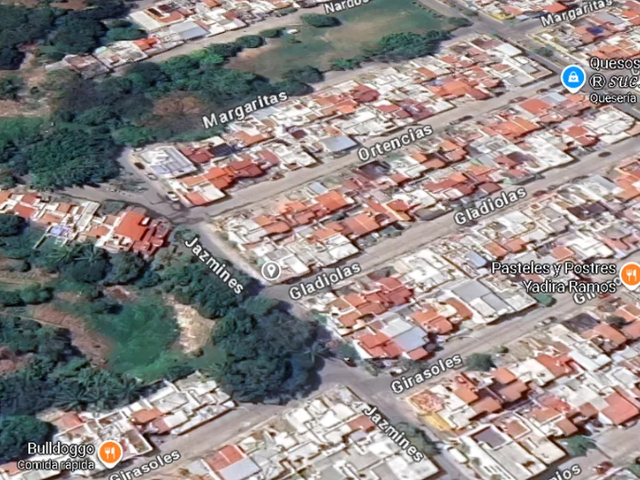 place photo 13
