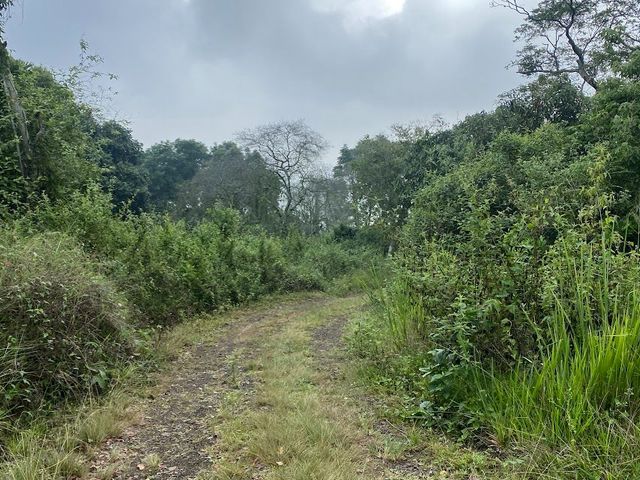 place photo 54