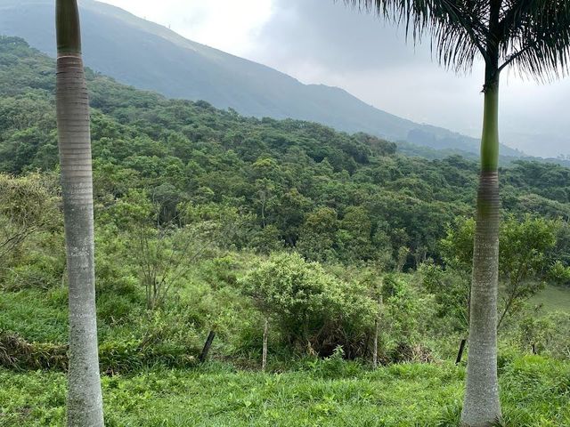 place photo 43