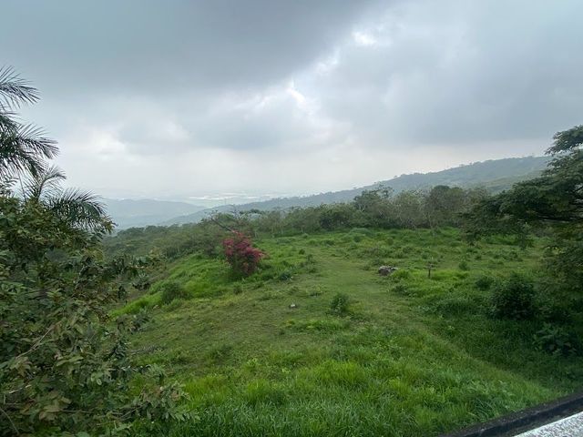 place photo 44