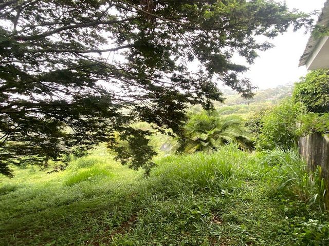 place photo 48
