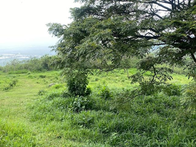 place photo 51