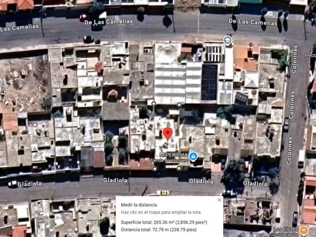 place photo 11