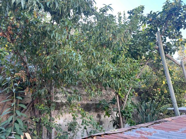 place photo 32