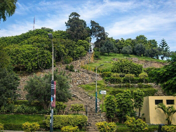 place photo 24