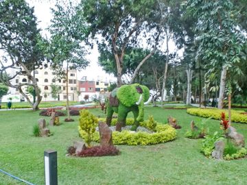 place photo 27