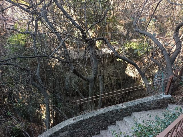 place photo 31