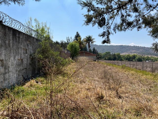 place photo 42