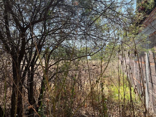 place photo 46