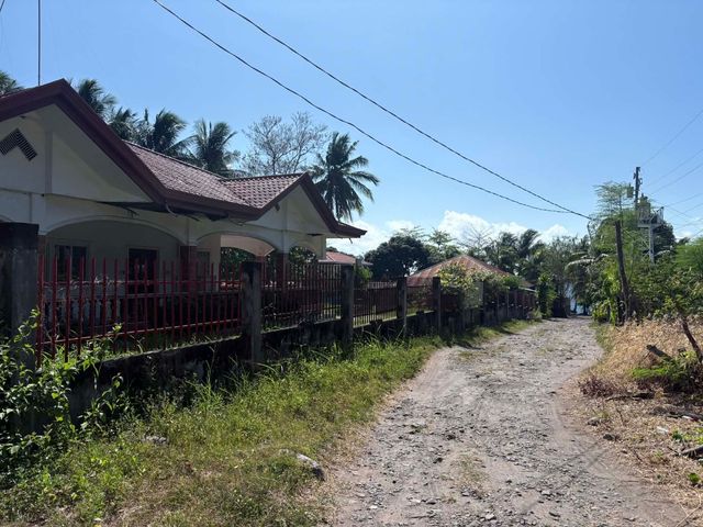 place photo 48