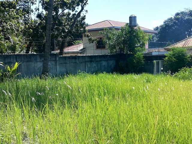 place photo 49