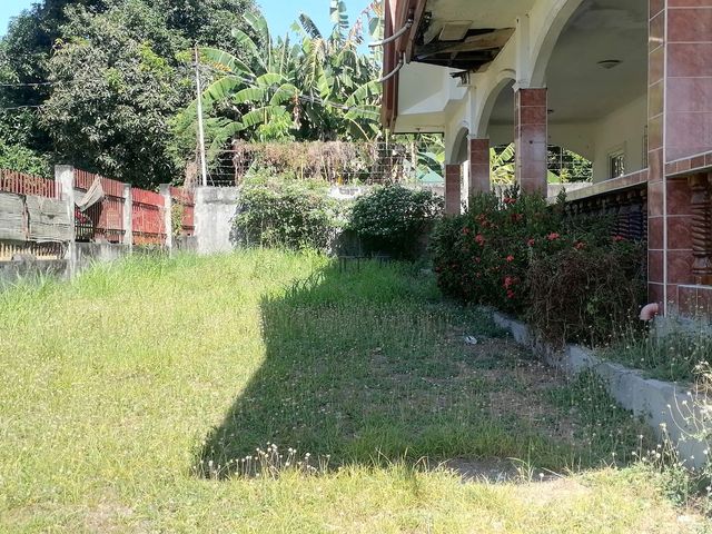 place photo 50