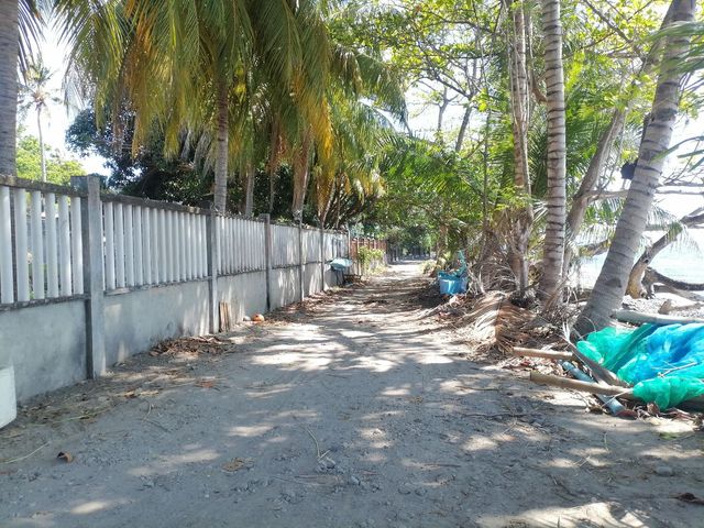 place photo 55