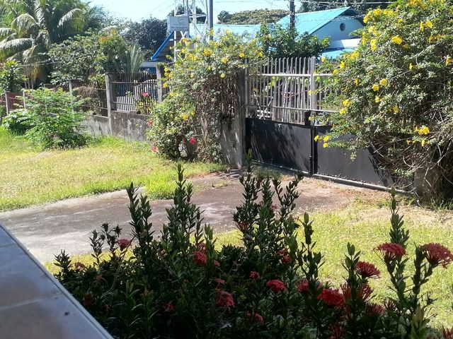 place photo 39