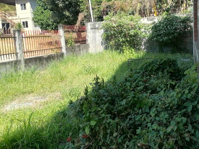 place photo 40