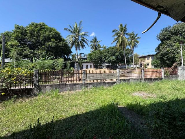 place photo 45