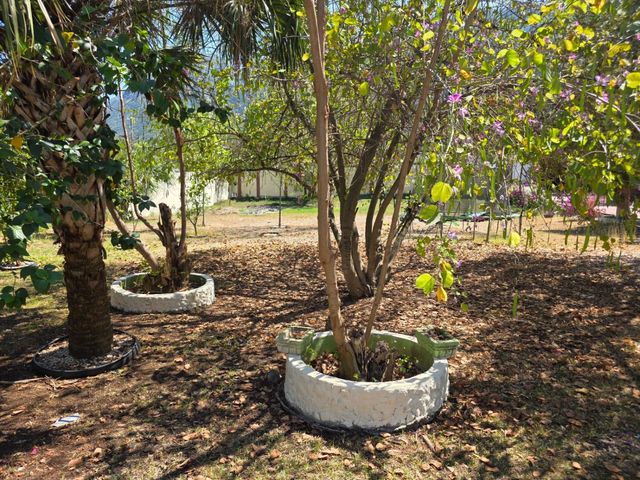 place photo 36