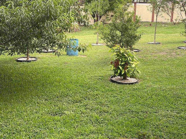 place photo 34