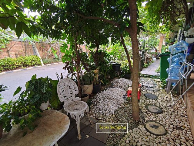 place photo 19