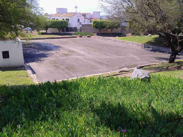 place photo 27