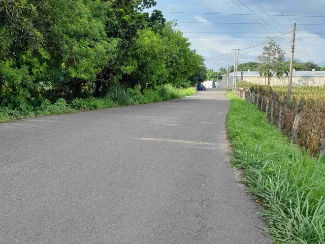 place photo 15