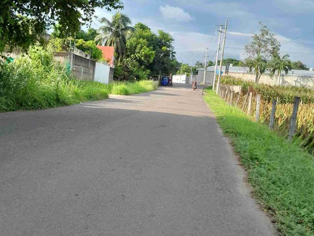 place photo 16