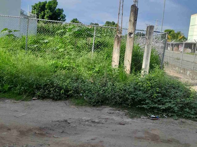 place photo 18